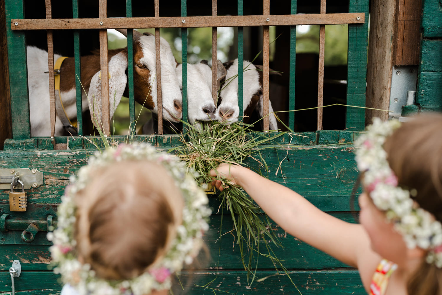 Kornscheune Orr Hochzeit Scheunenhochzeit Freie Trauung